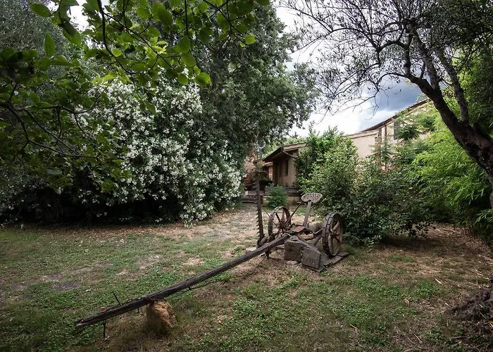 Borgo De Salaioli ベッド・アンド・ブレックファスト スカンサーノ